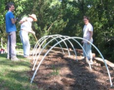 Build a hoop house