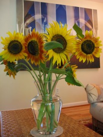 Sunflowers for the vase