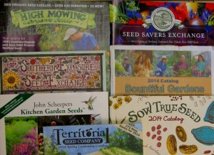 Seed Catalogs 
